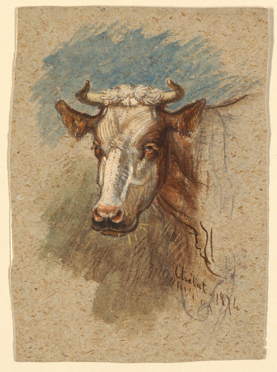 Cabeça de uma vaca, Étretat de Samuel Colman