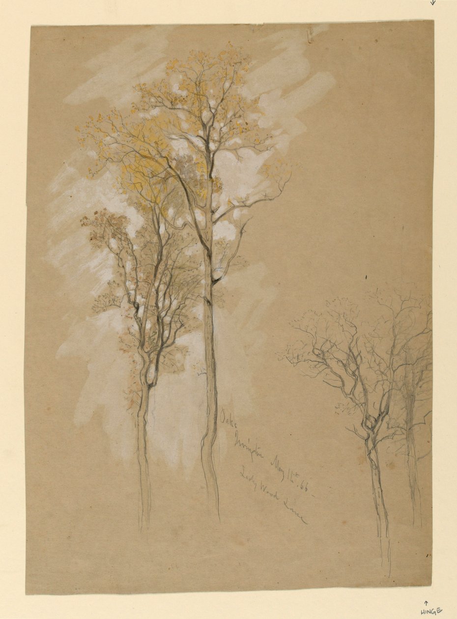 Oaks, Lady Wood Lane, Irvington de Samuel Colman