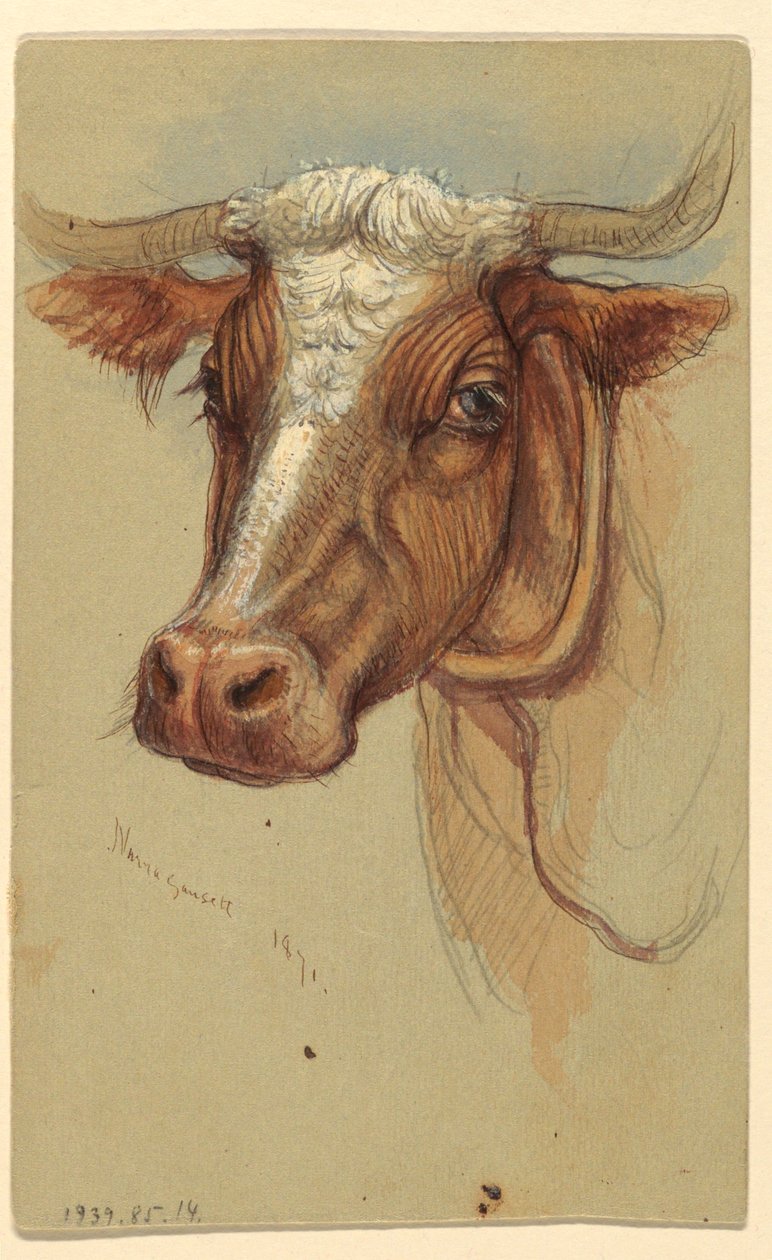 Esboços de Narragansett, Rhode Island de Samuel Colman