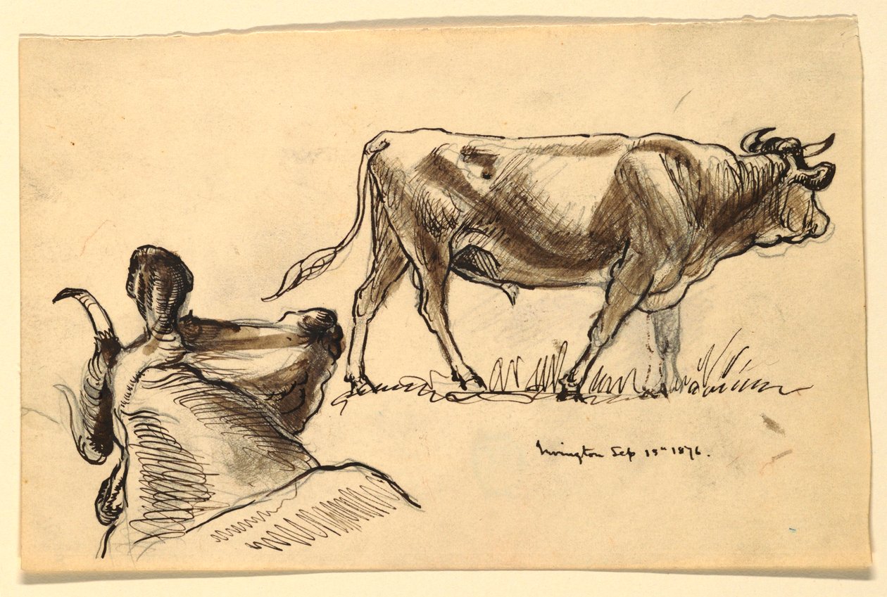 Esboços de gado, Irvington de Samuel Colman