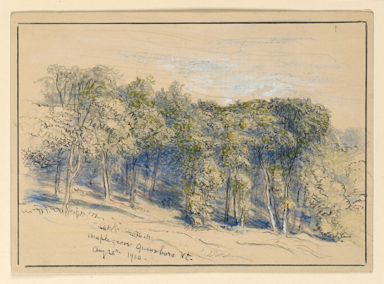 Estudo de Maple Grove, Greensboro, Vermont de Samuel Colman