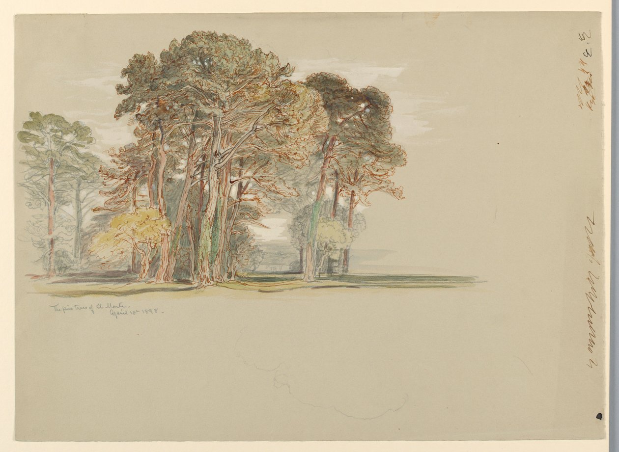 Os pinheiros de El Monte, Califórnia de Samuel Colman