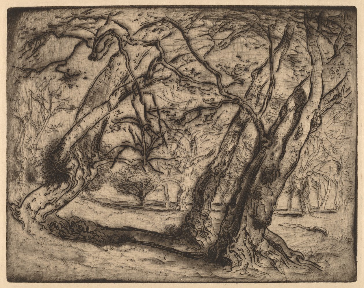 Sem título (Paisagem Arborizada) de Samuel Colman