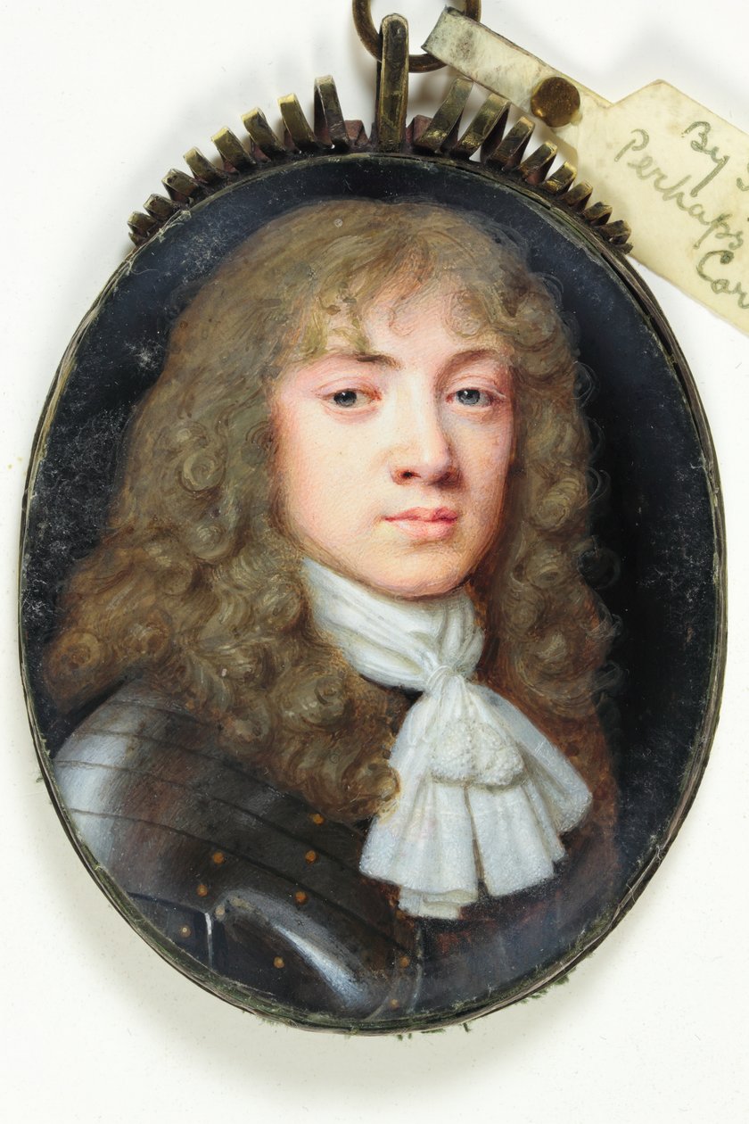 Um jovem cavalheiro (aguarela em velino) de Samuel Cooper