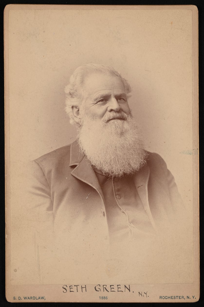 Retrato de Seth Green 1817-1888, 1886. de Samuel D Wardlaw