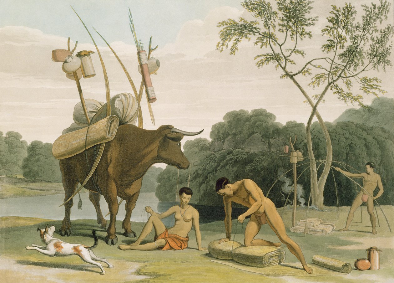 Korah Hottentots Preparing to Remove, prato 20 de &39;African Scenery and Animals&39;, gravado pelo artista, 1805 (aquatint) de Samuel Daniell