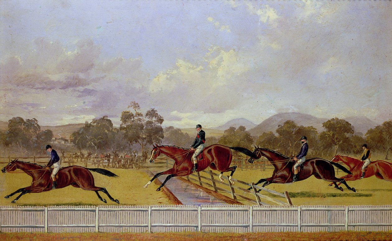 A Steeplechase de Samuel Henry Alken