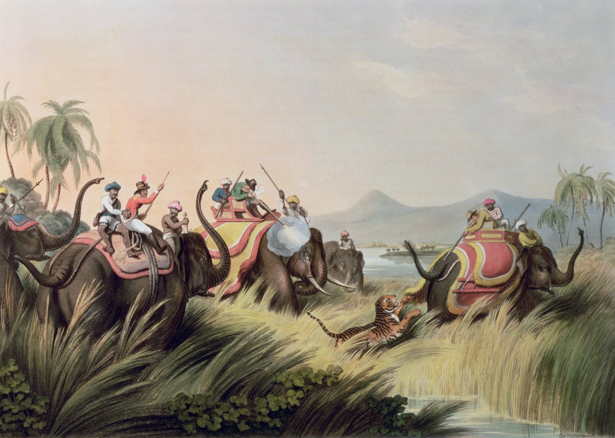 O Tiger At Bay, da Oriental Field Sports, pub. por Edward Orme, 1807 (impressão) de Samuel Howett