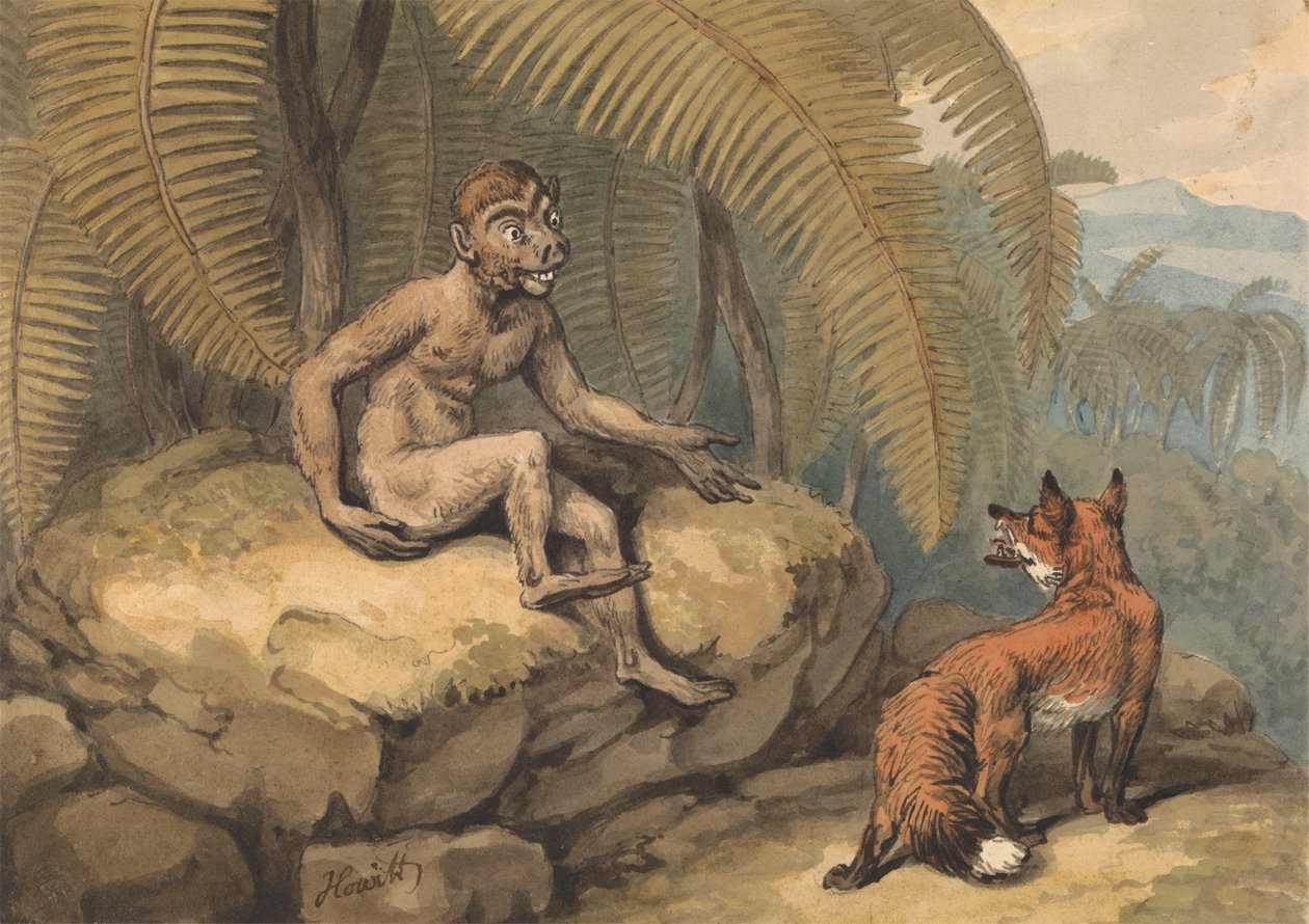 Um macaco e uma raposa de Samuel Howitt