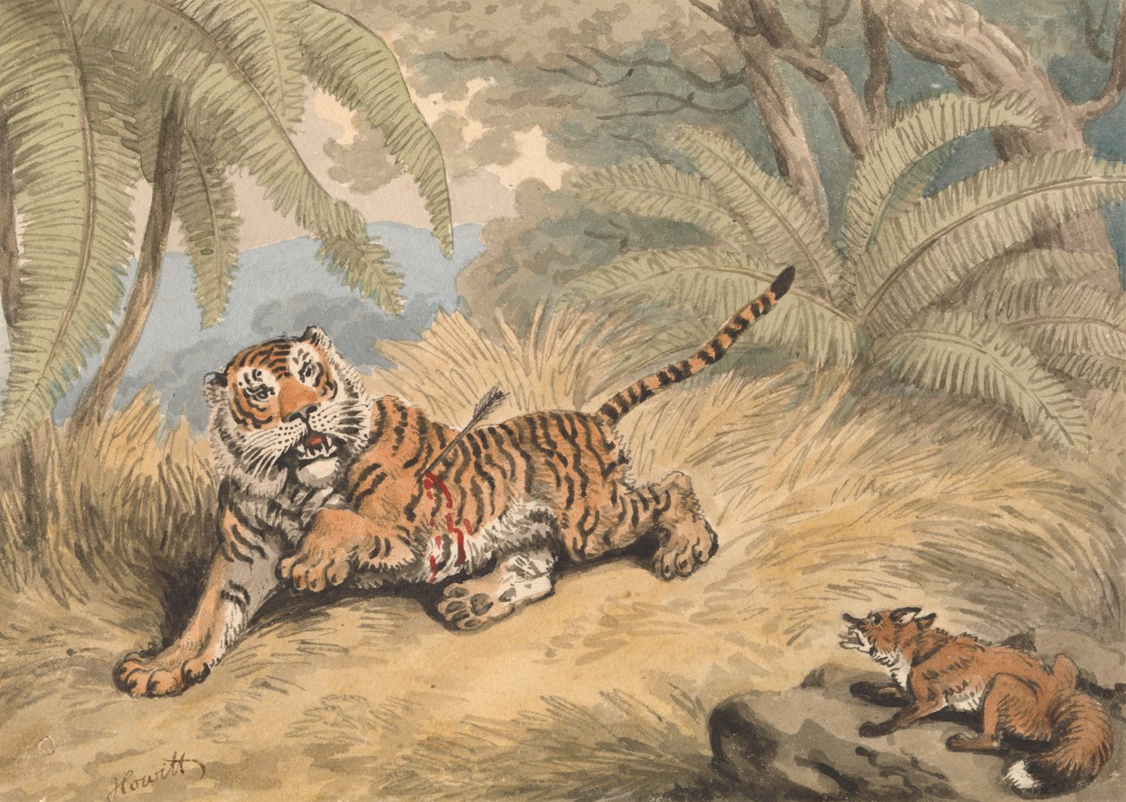 Um Tigre Tresoado com uma Flecha de Samuel Howitt