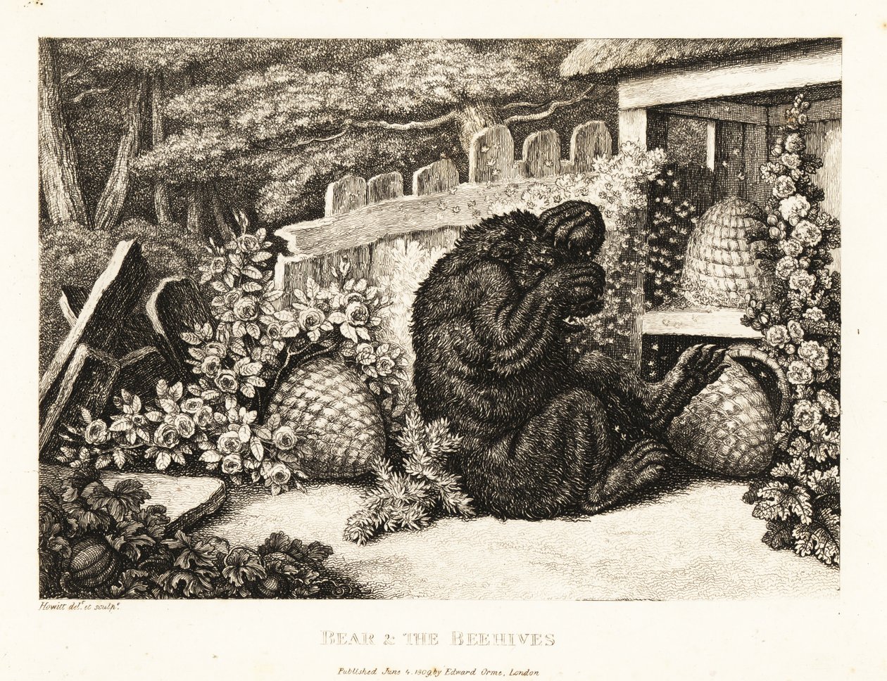 Um urso castanho atacado por um exército de abelhas. 1811 (gravura) de Samuel Howitt