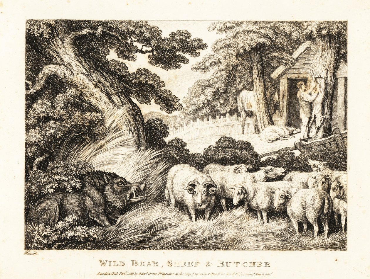 Um rebanho de ovelhas espera pelo abate por um açougueiro. 1811 (gravura) de Samuel Howitt