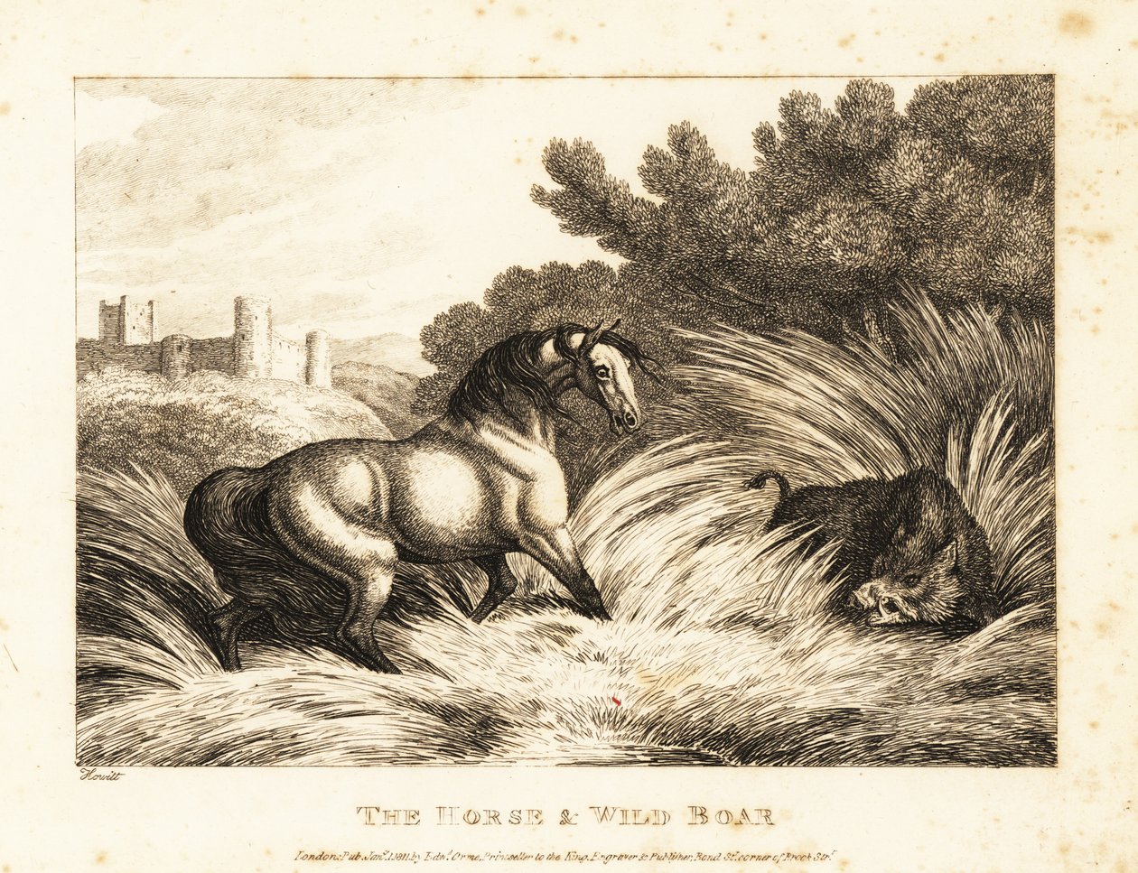 Um cavalo e um javali se enfrentam em um pasto. 1811 (gravura) de Samuel Howitt