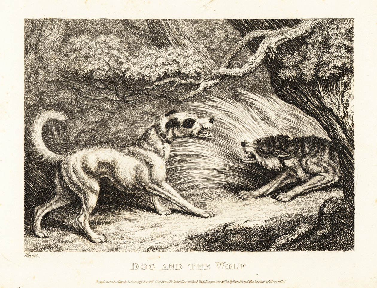 Um cão doméstico numa coleira oferece comida a um lobo esfomeado. 1811 (água forte) de Samuel Howitt