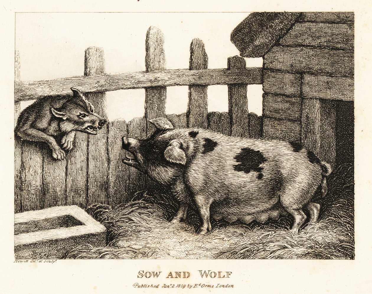 Uma grande porca em um chiqueiro rosnando para um lobo. 1811 (gravura) de Samuel Howitt