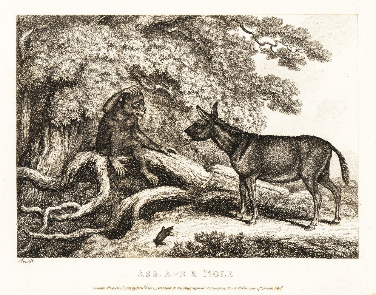 Um macaco e um burro gemem até que uma toupeira os silencia. 1811 (gravura) de Samuel Howitt