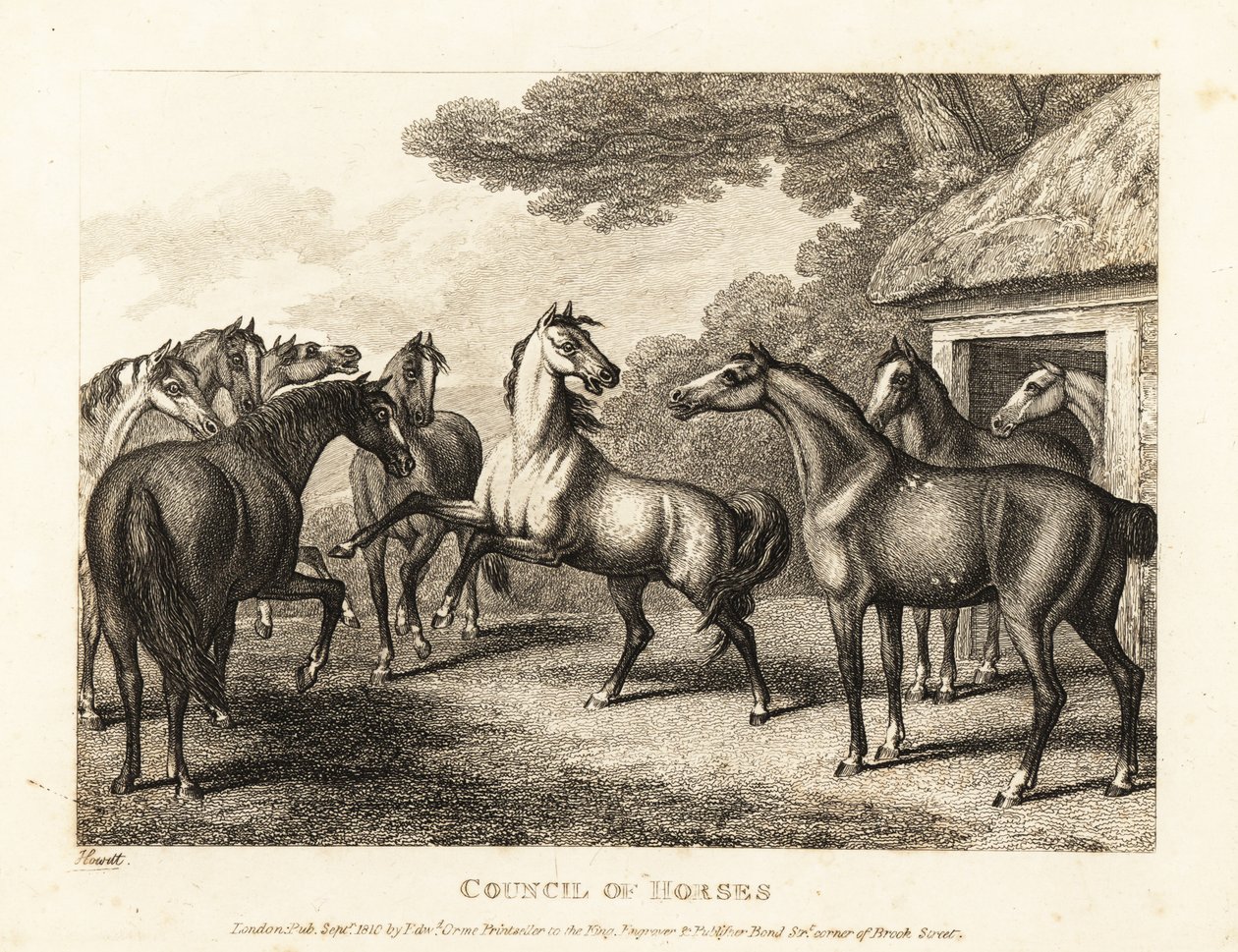 Um jovem potro tenta agitar um motim nos estábulos. 1811 (gravura) de Samuel Howitt