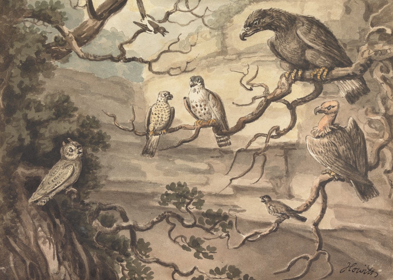 Uma coruja, uma águia, dois falcões, um abutre e outras aves pousadas em árvores de Samuel Howitt