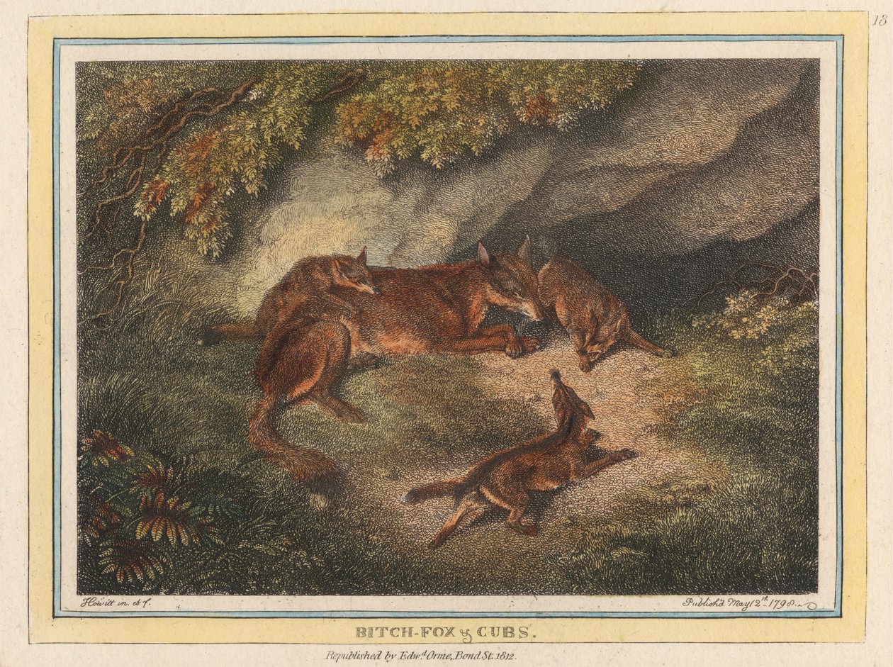 Raposa e Leõezinhos de Samuel Howitt