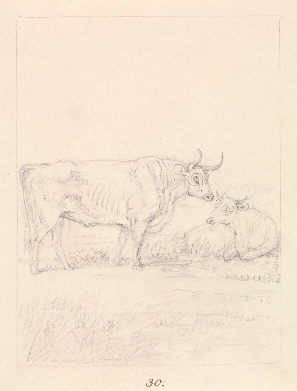Touro e Vaca de Samuel Howitt