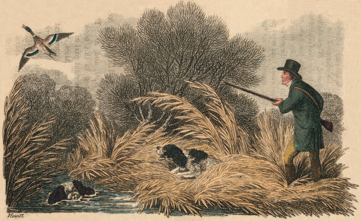 Tiro ao pato, 1810. de Samuel Howitt