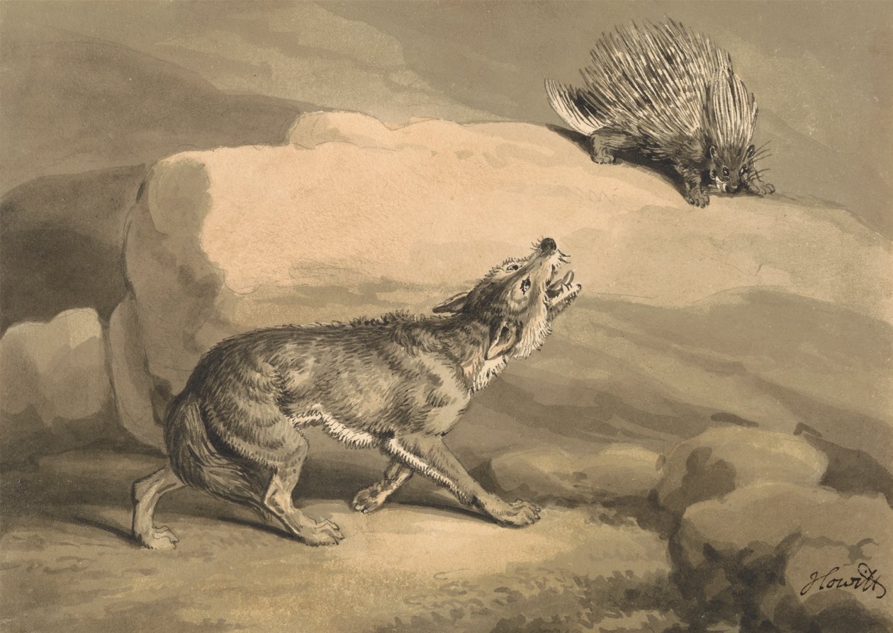 A Raposa e o Porco-espinho (Porcupine) de Samuel Howitt