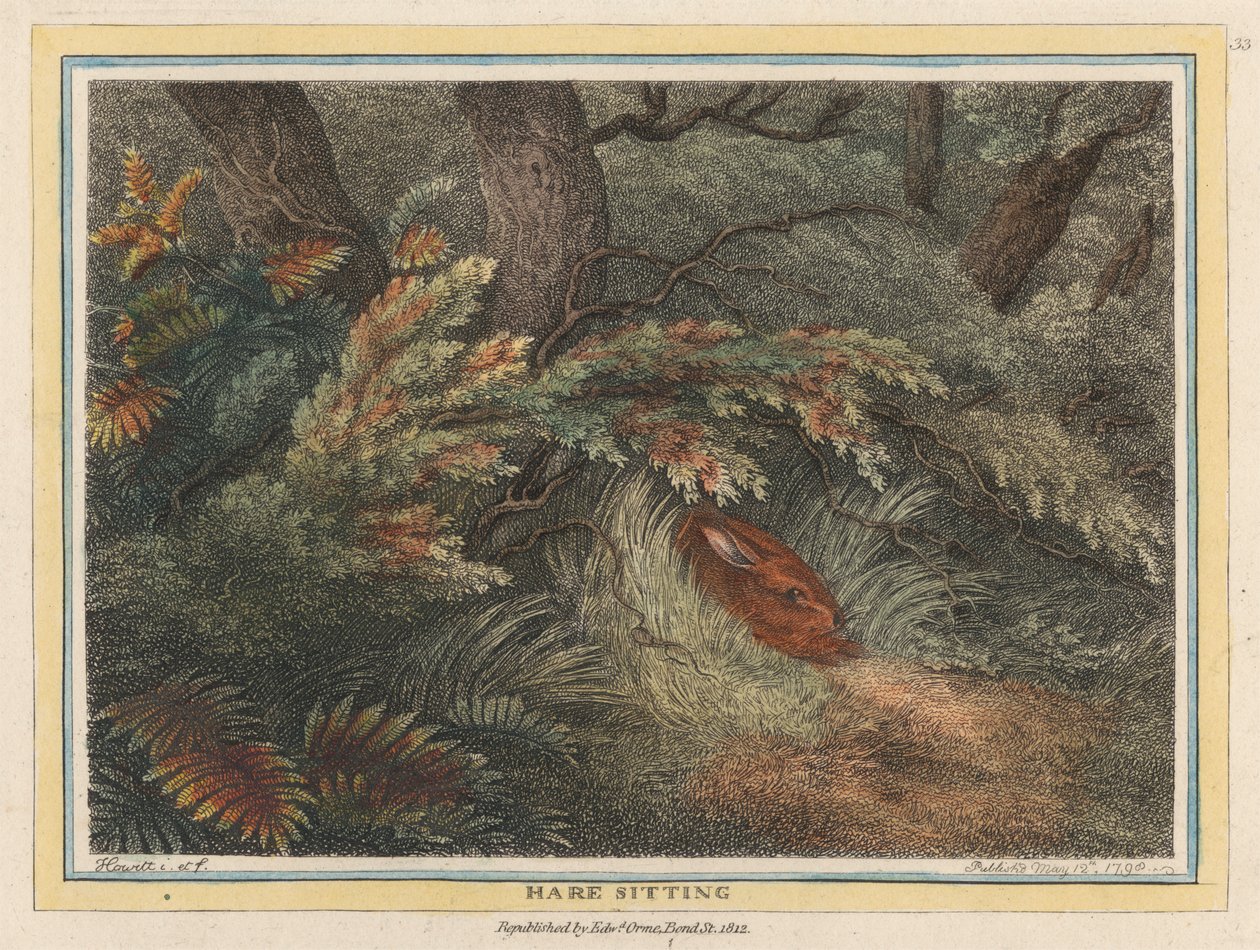 Lebre sentada de Samuel Howitt