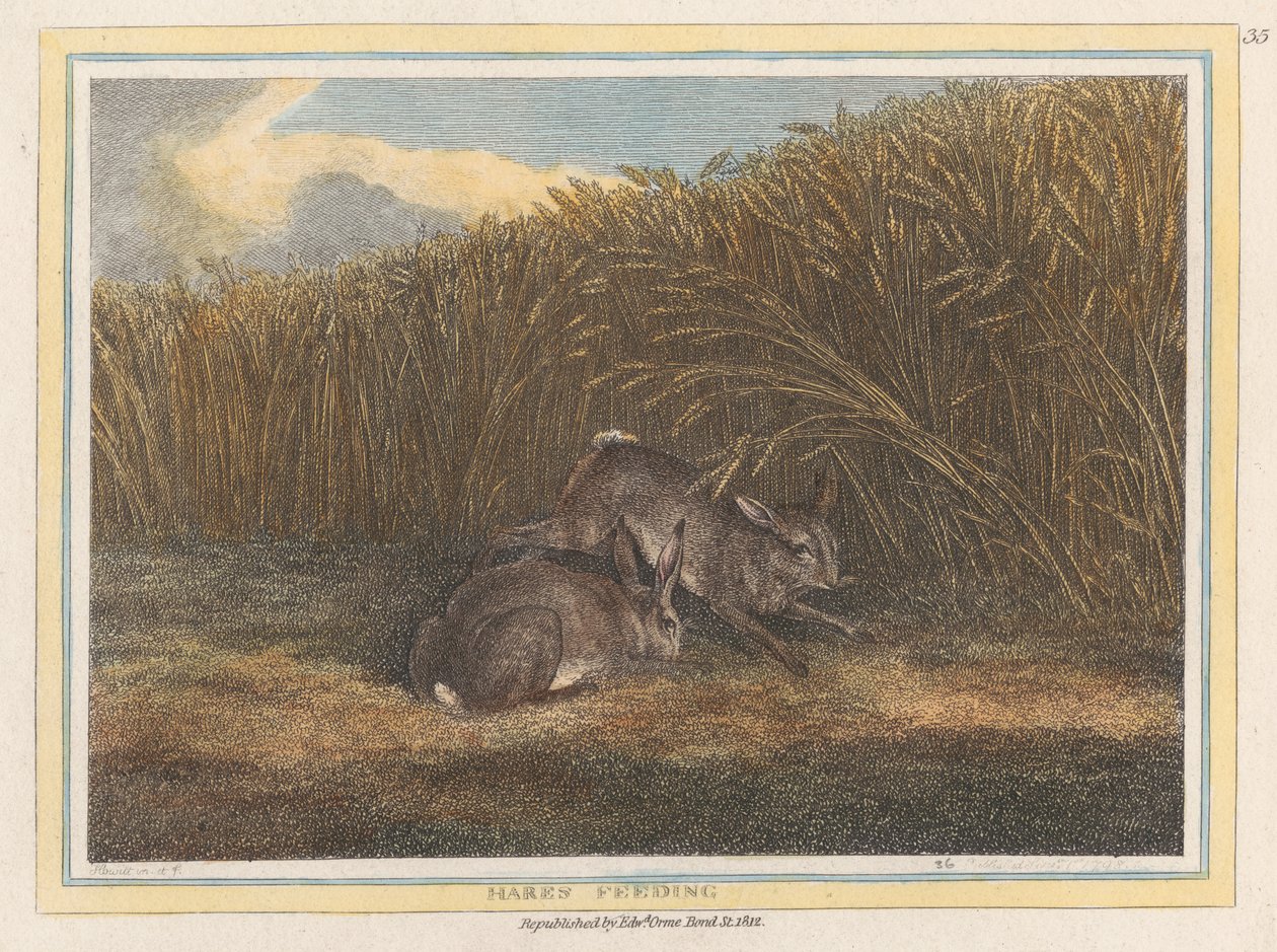 Alimentação de lebres de Samuel Howitt