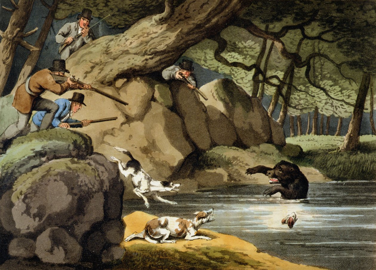 Caça ao Urso da América do Norte, gravada por Matthew Dubourg, publicada por Edward Orme, 1813 de Samuel Howitt