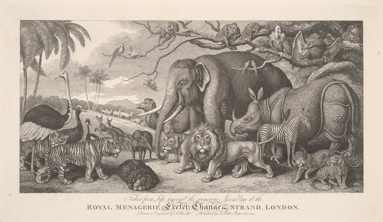 Tirado do natural, entre a numerosa assembleia da menagerie real, Exeter Exchange, Strand, Londres de Samuel Howitt