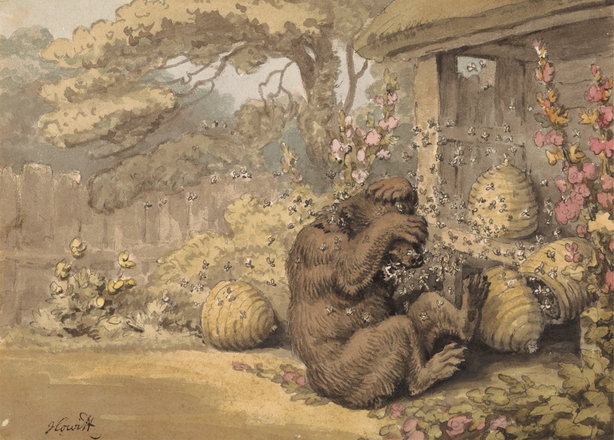 O Urso e as Colméias das Abelhas de Samuel Howitt