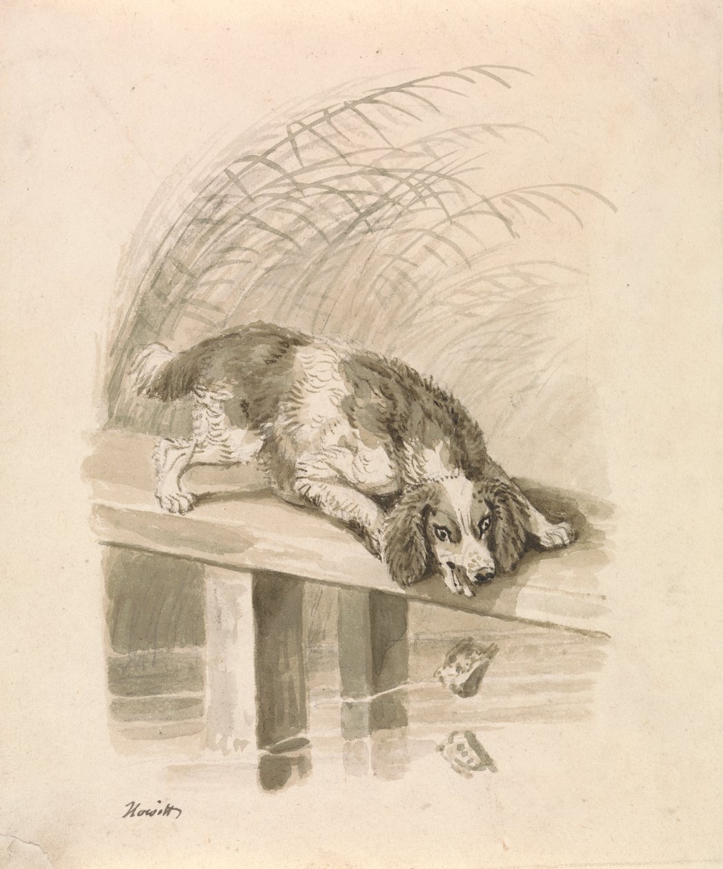 O Cão e a Sombra de Samuel Howitt