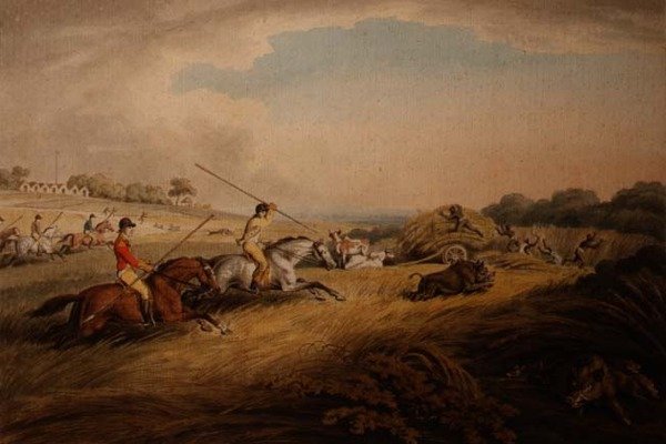 The Hog Chase - Across Fields, da "Orme