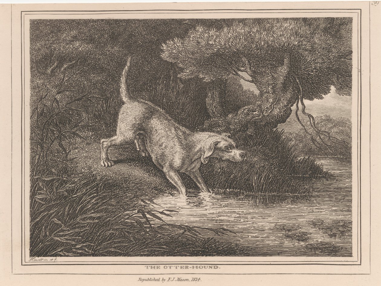 O cão de caça lontra de Samuel Howitt