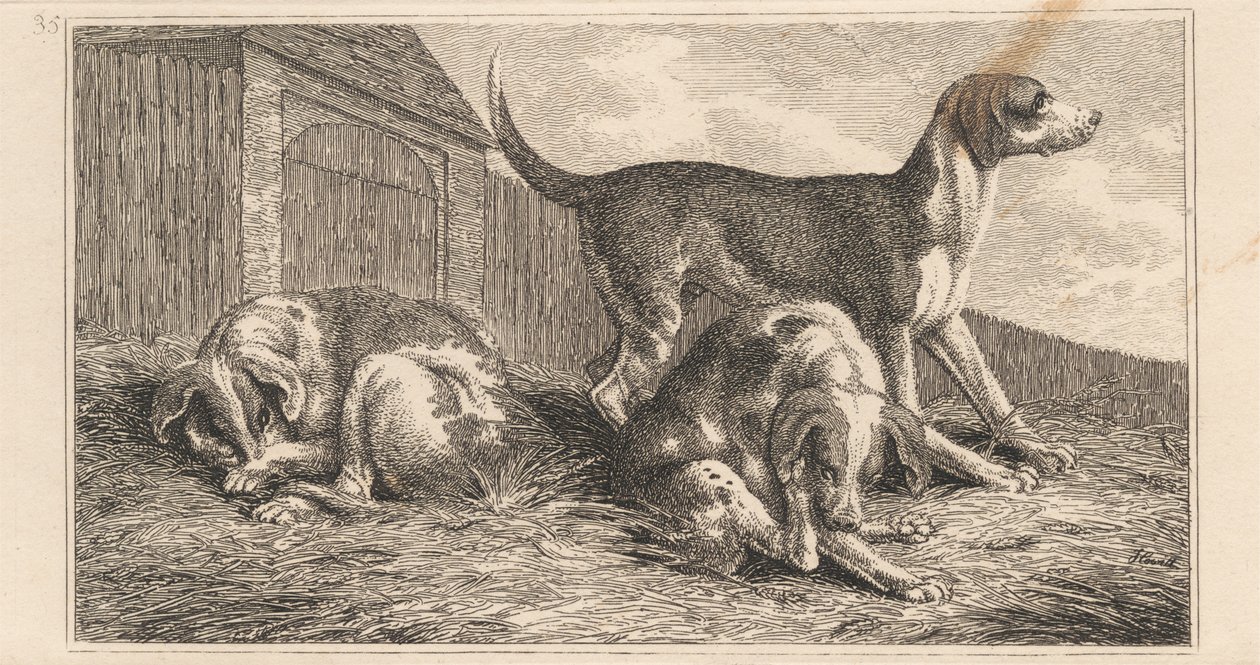 Três Cães de Samuel Howitt