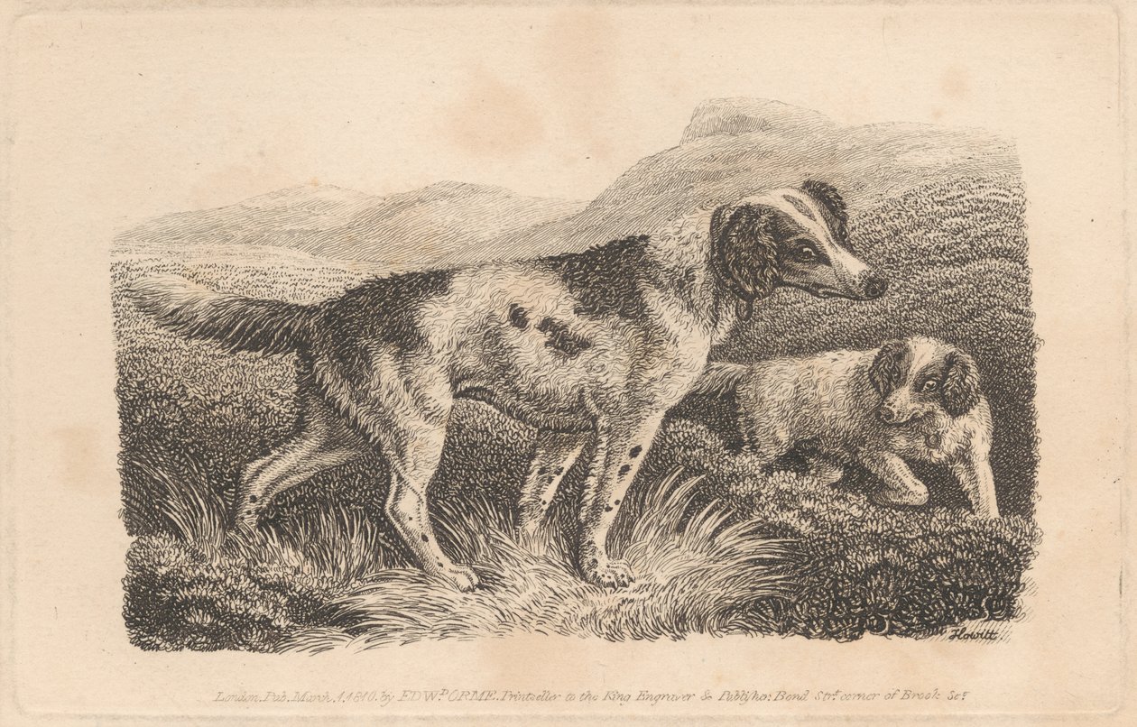 Dois Cães de Samuel Howitt