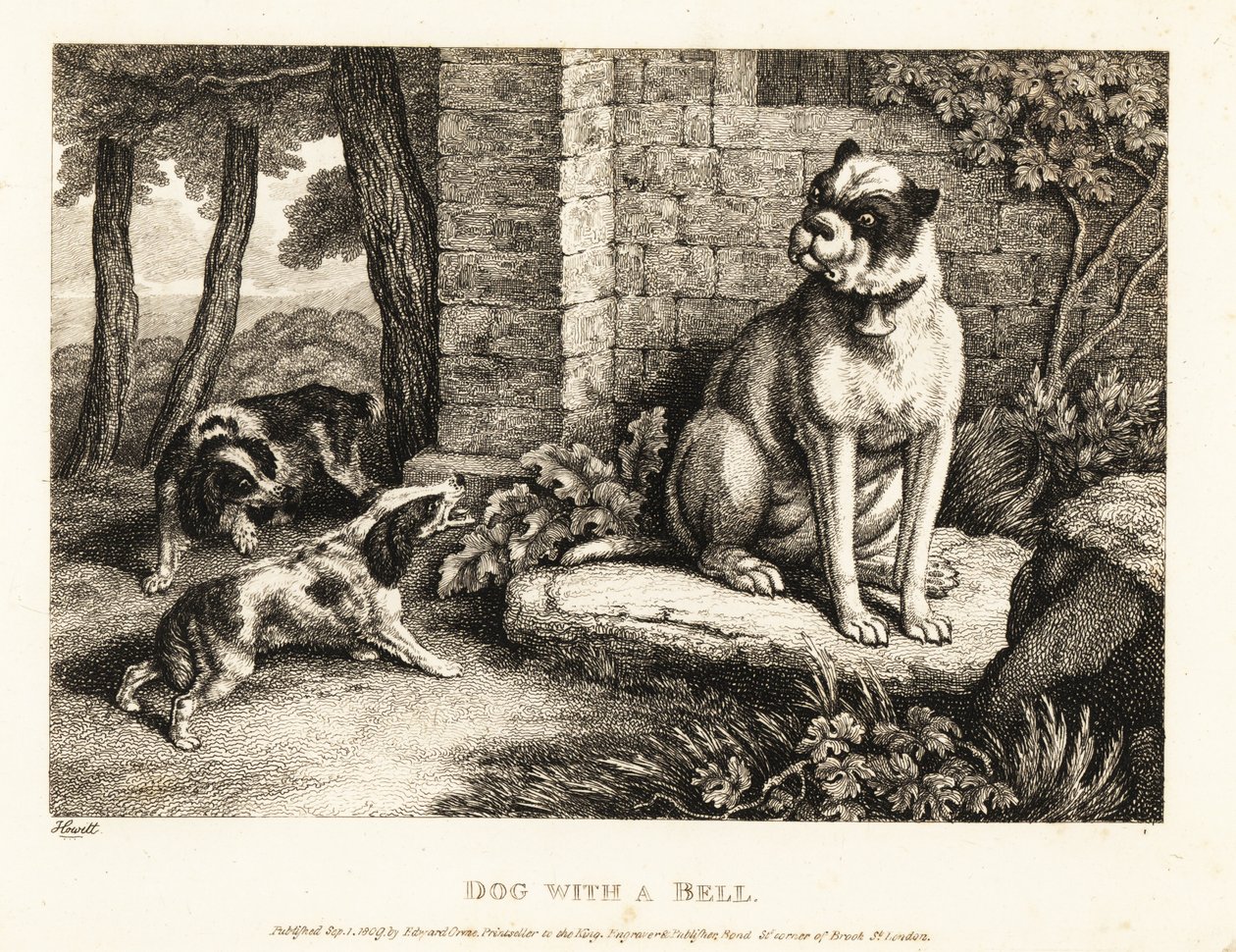 Dois spaniels latindo para um buldogue com um sino na coleira. 1811 (gravura) de Samuel Howitt