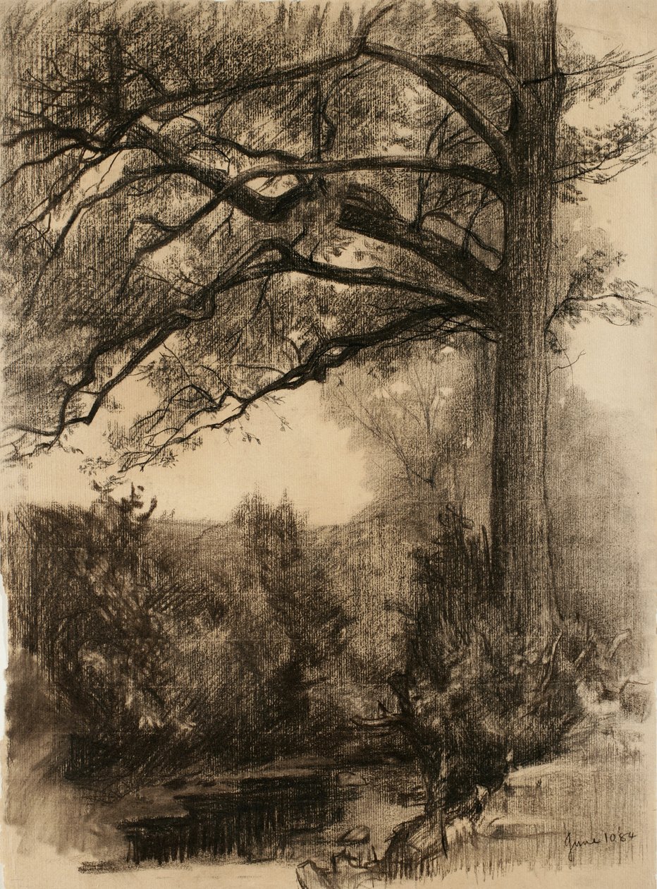 Paisagem com árvore grande, 1884 (carvão sobre papel lustrado) de Samuel Isham