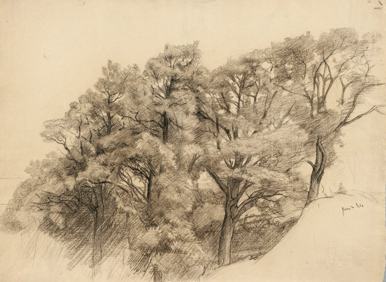 Paisagem com árvores, 1884 (carvão sobre papel brilhante) de Samuel Isham