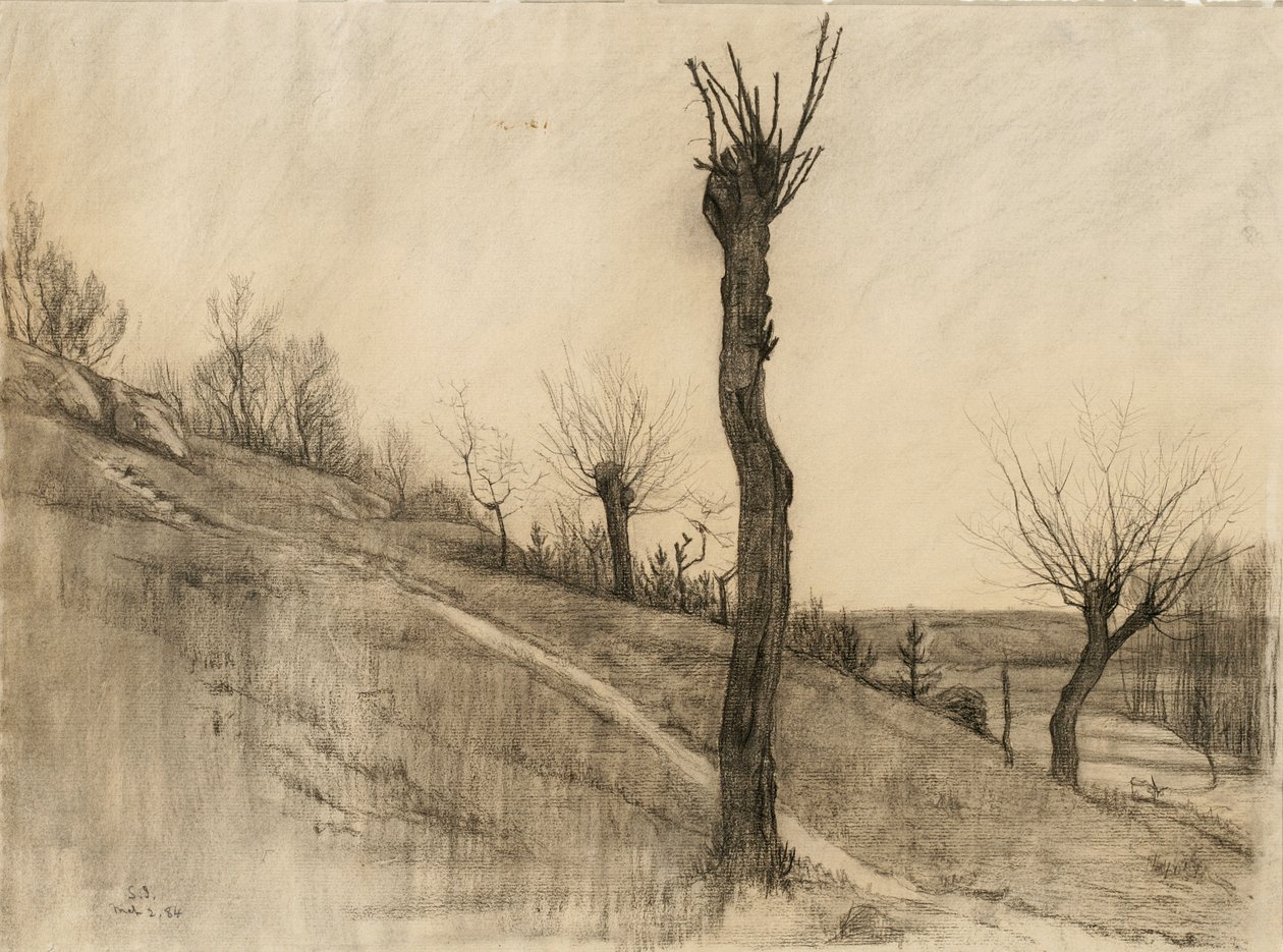 Paisagem de fim de inverno, 1884 (carvão sobre papel brilhante) de Samuel Isham