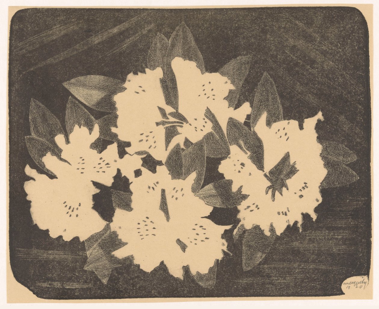 Rhododendron de Samuel Jessurun de Mesquita (signed by artist)