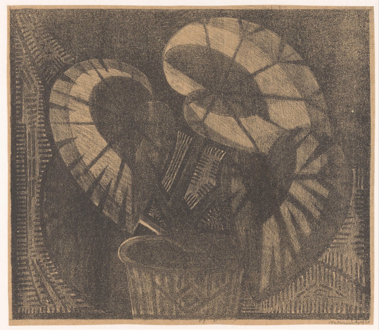 Bladbegonia de Samuel Jessurun de Mesquita