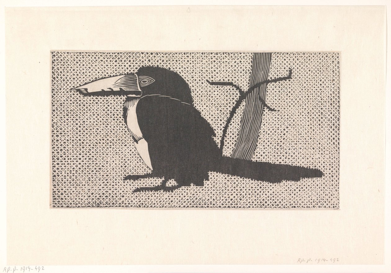 tucano de Samuel Jessurun de Mesquita