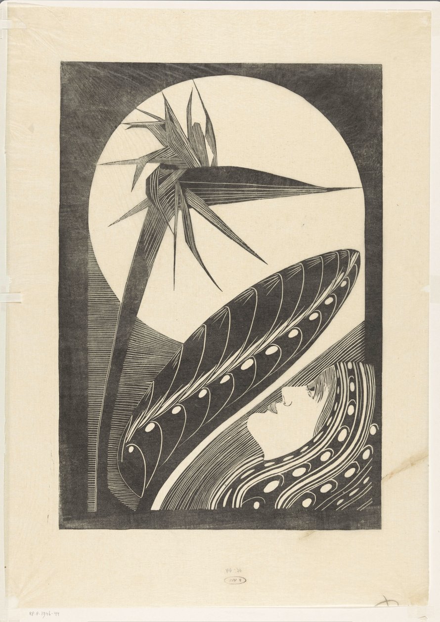 Strelitzia desbotada de Samuel Jessurun de Mesquita