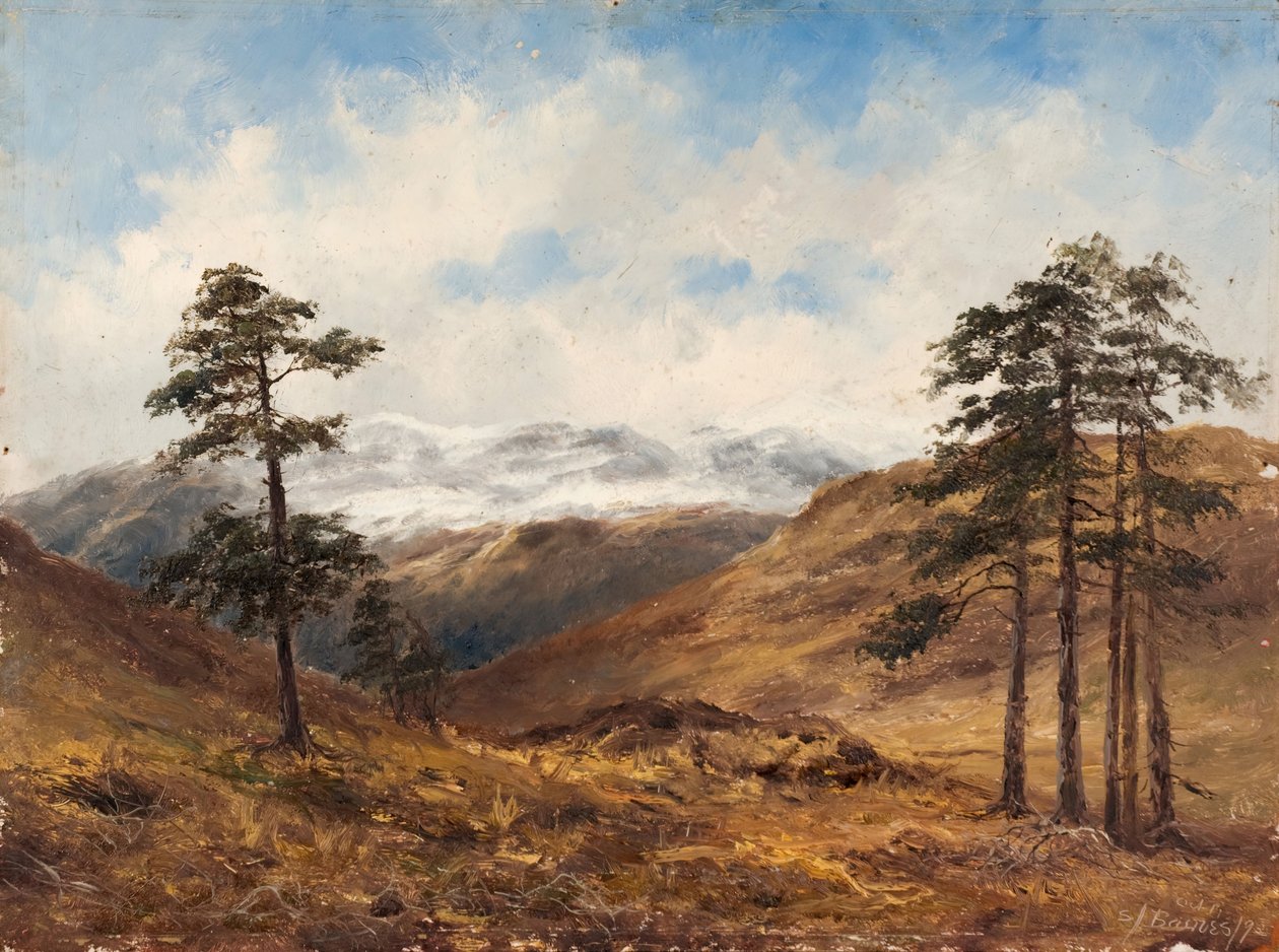 Perto de Balmoral, 1893. de Samuel John Barnes