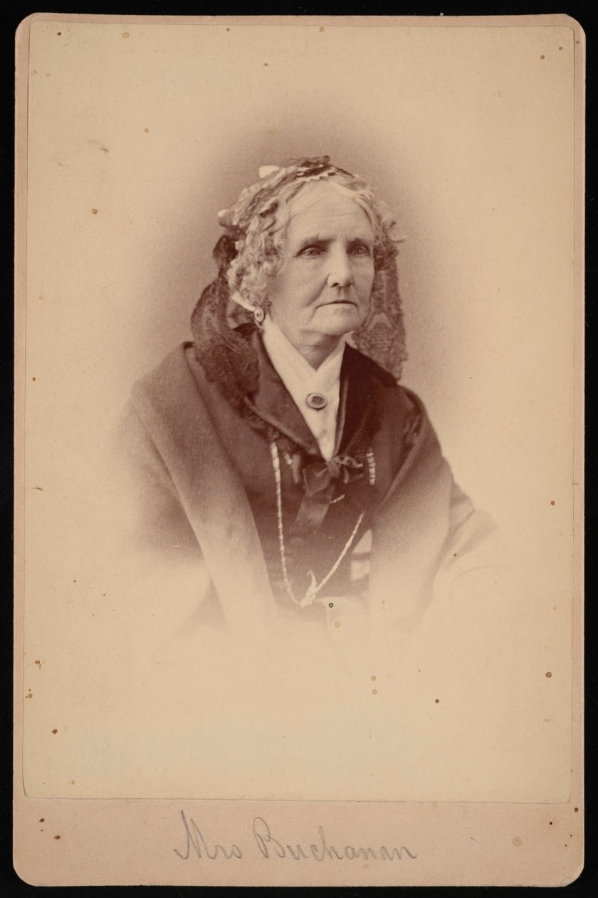 Retrato da Sra. Buchanan, 1875. de Samuel Montague Fassett