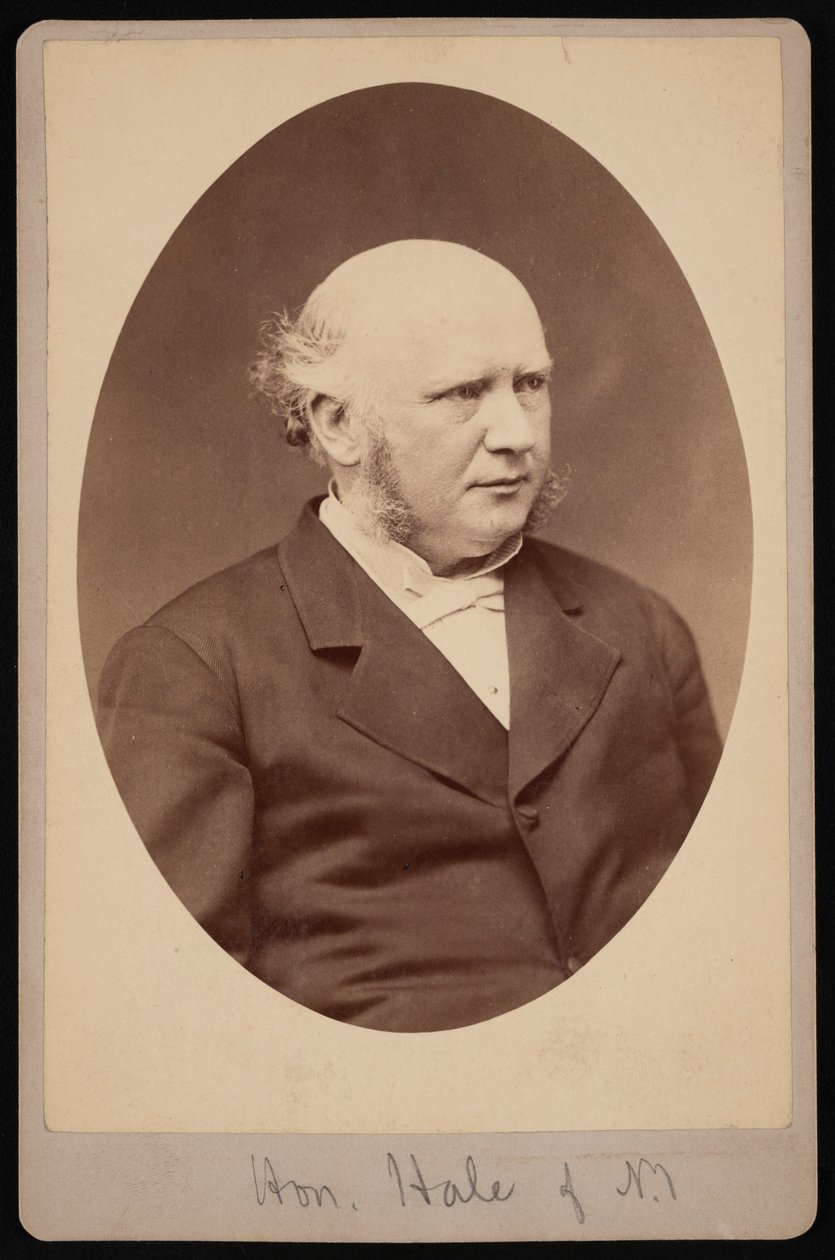 Retrato de Robert Safford Hale 1822-1881, antes de 1881. de Samuel Montague Fassett