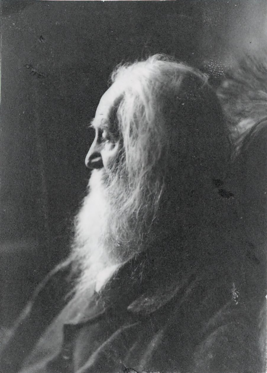 Walt Whitman em Camden, N.J., c. 1891. de Samuel Murray