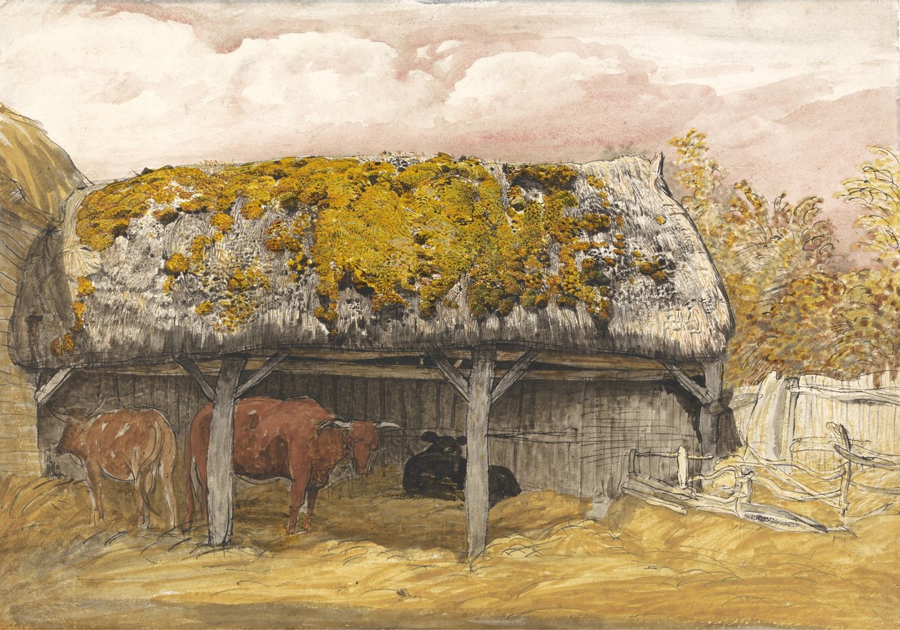 A Cow Lodge com um telhado musgoso, c.1829 (caneta e tinta com aquarela e guache no papel) de Samuel Palmer