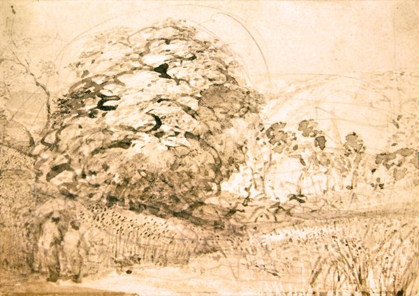 Um caminho através de um milheiral, c.1832-33 (aguarela sobre papel) de Samuel Palmer